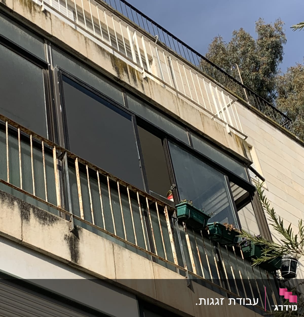 חלונות זכוכית במרפסת בניין עם עציצים ירוקים